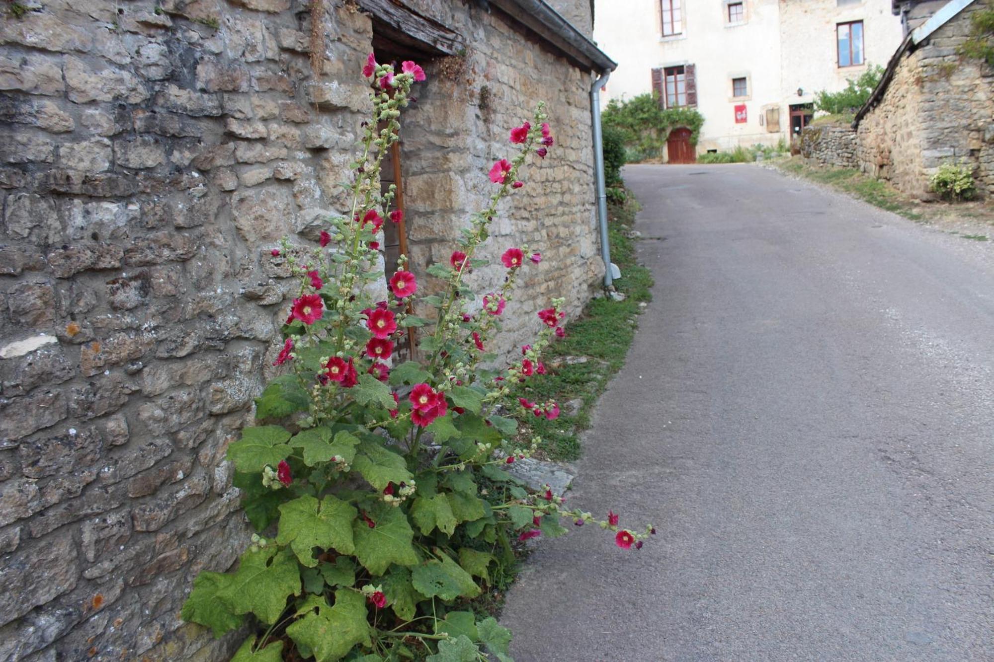 Chateauneuf Suites Eksteriør bilde